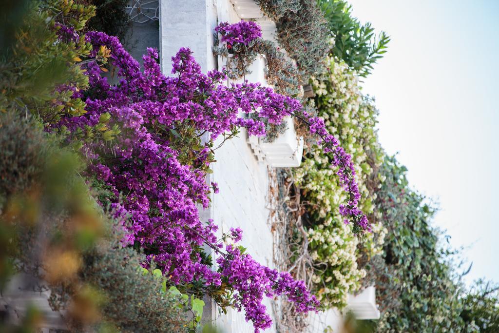 Holiday Lodge Al Porto Mattinata Exterior photo